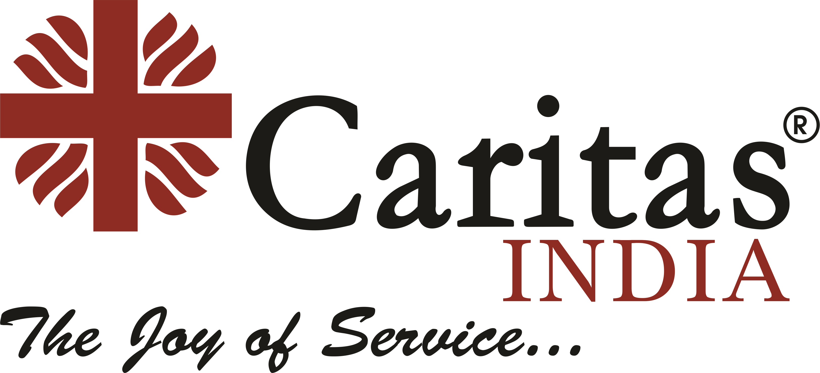 Caritas India Logo1