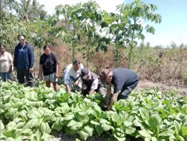 Rural Farmer Strengthening Program in Timor Leste